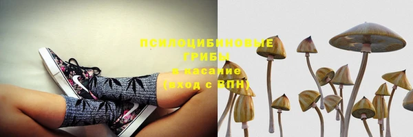 стафф Лабытнанги