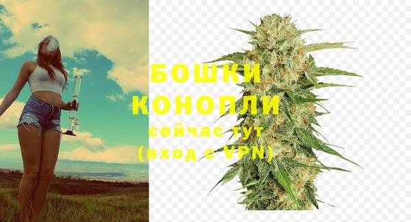 стафф Лабытнанги