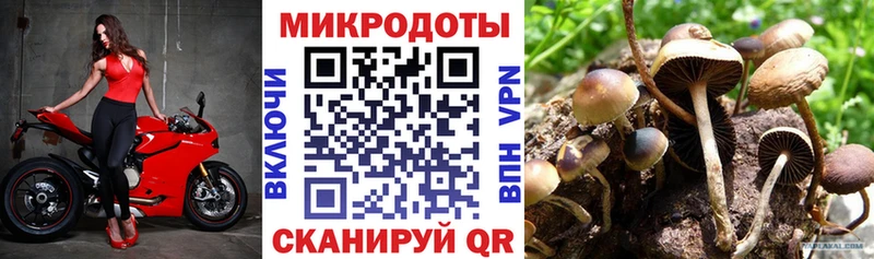 наркота Орехово-Зуево кракен как зайти Псилоцибиновые грибы Cubensis